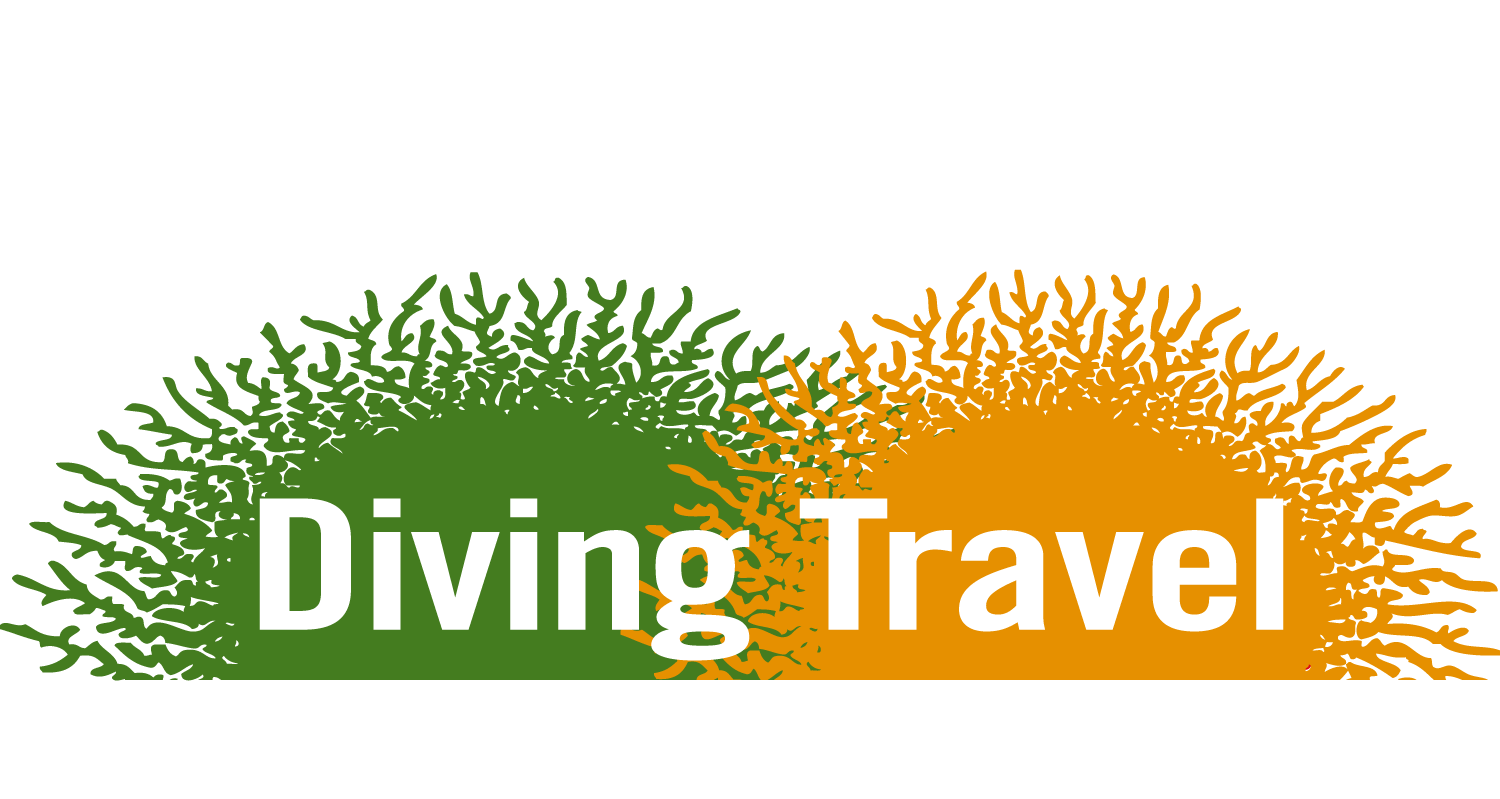 Diving Travel Network