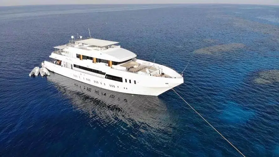 Boka liveaboard i Egypten