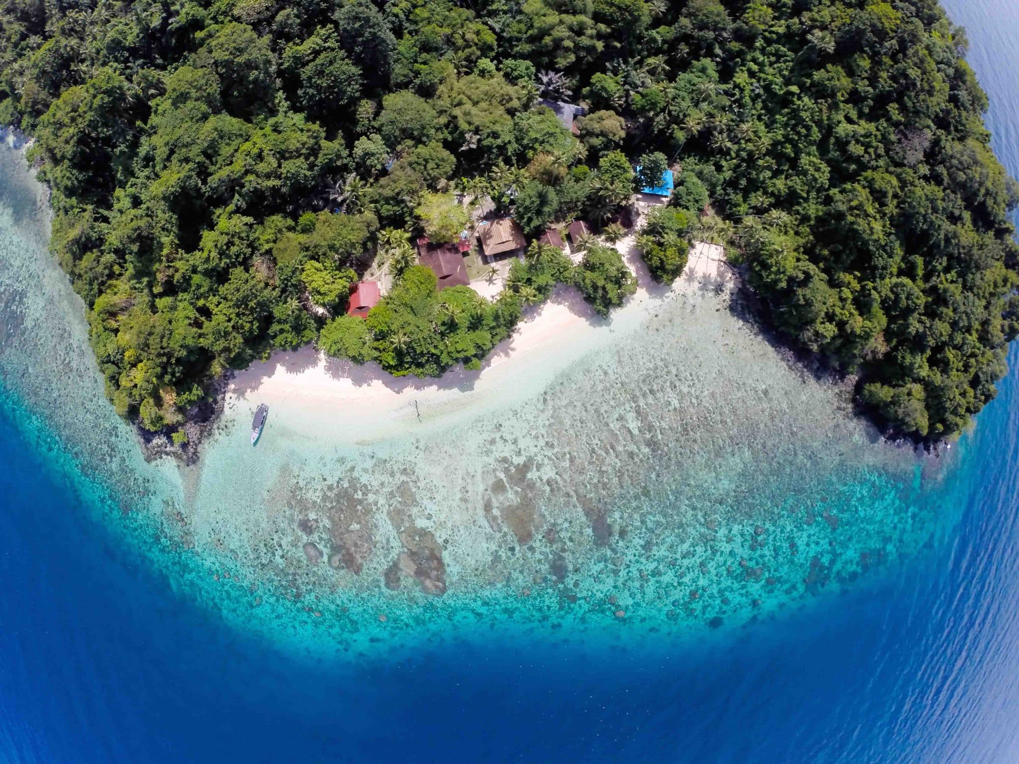 Murex Bangka Island
