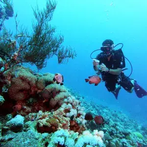 DCIM100GOPROGOPR9161.JPG